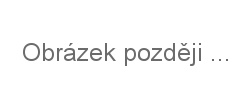 Obrázek později ...